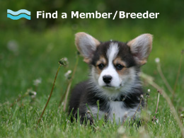 Find a Member/Breeder